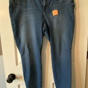 Torrid Denim